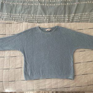 Loft Blue Sweater